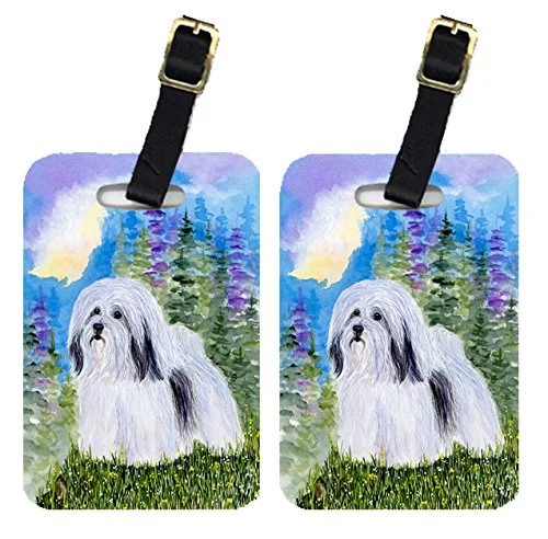 Suitcase with sleek patterns-Carolines Treasures Ss1034Bt Havanese Luggage Tag - Pair 2, 4 X 2.75 In.