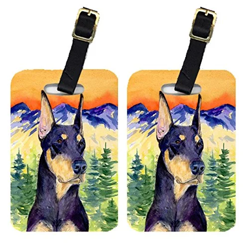 Suitcase for travel organizers-Carolines Treasures Ss8658Bt Doberman Luggage Tag - Pair 2, 4 X 2.75 In.