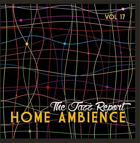 Suitcase with lockable zippers-Home Ambience: The Jazz Report, Vol. 17